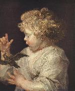 RUBENS, Pieter Pauwel Boy with Bird china oil painting reproduction